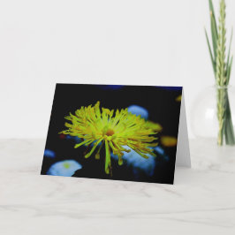 Cartão Nature Photography