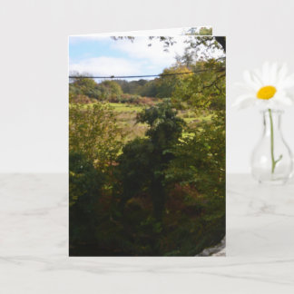 Cartão nature way of impersonating animals