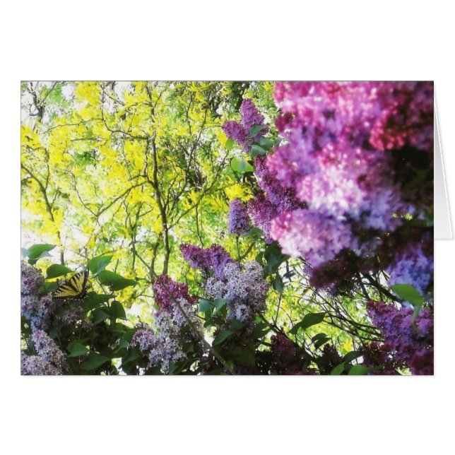 Cartão Natures Beauty (Frente horizontal)