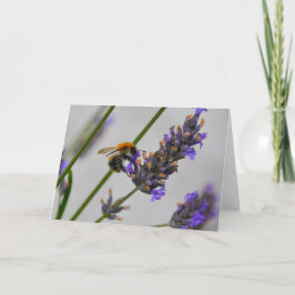 Cartão Natures WonMaravilha Workers