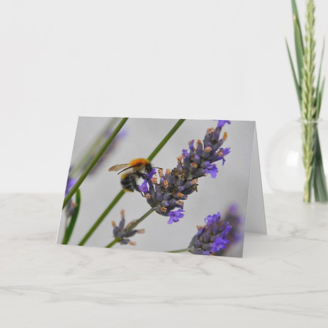 Cartão Natures WonMaravilha Workers (Frente)