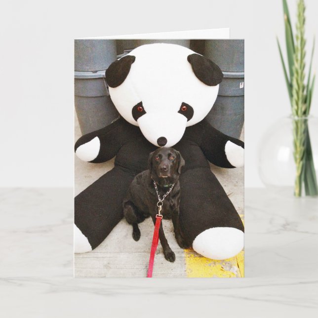 Cartão Natureza (Frente)