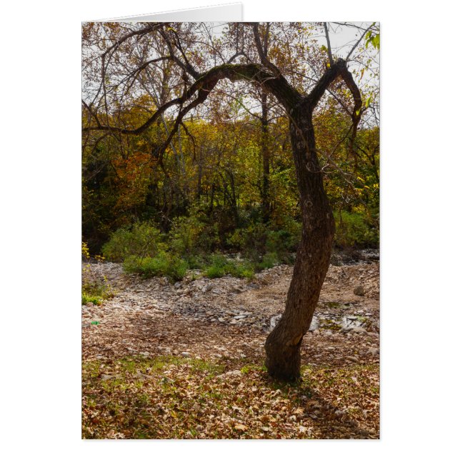 Cartão Natureza A Atingir (Frente)