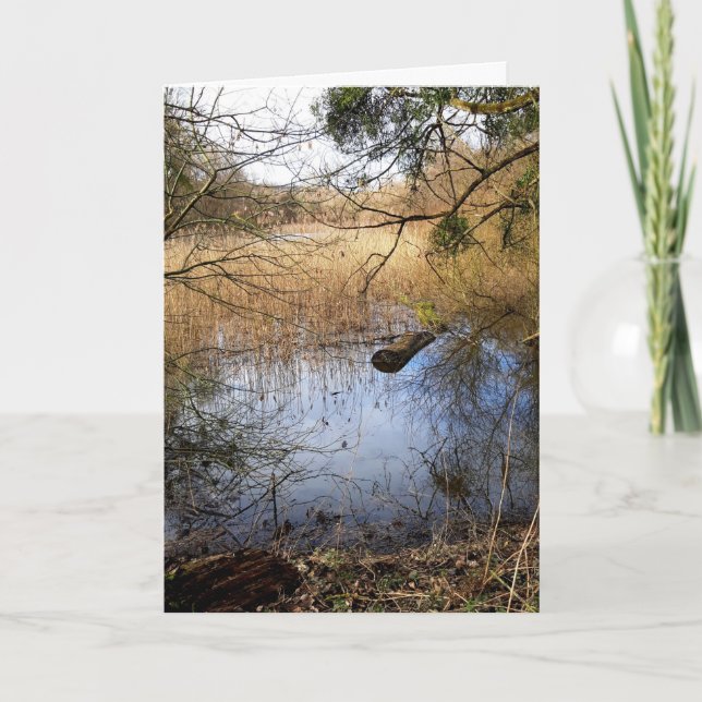 Cartão Natureza das zonas rurais (Frente)