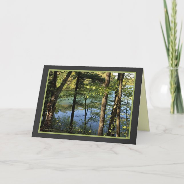 Cartão Natureza: fornece um quarto para mim. (Frente)