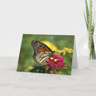 Cartão Natureza Fotografia