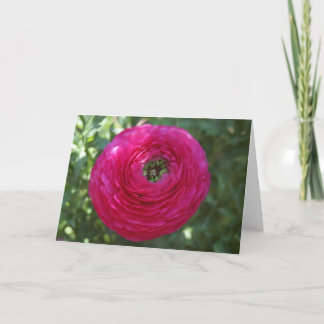 Cartão Natureza Fotografia