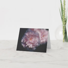 Cartão Natureza Fotografia