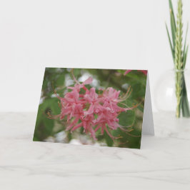 Cartão Natureza Fotografia