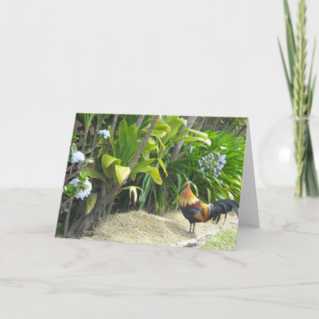 Cartão Natureza vazia do galo (Frente)