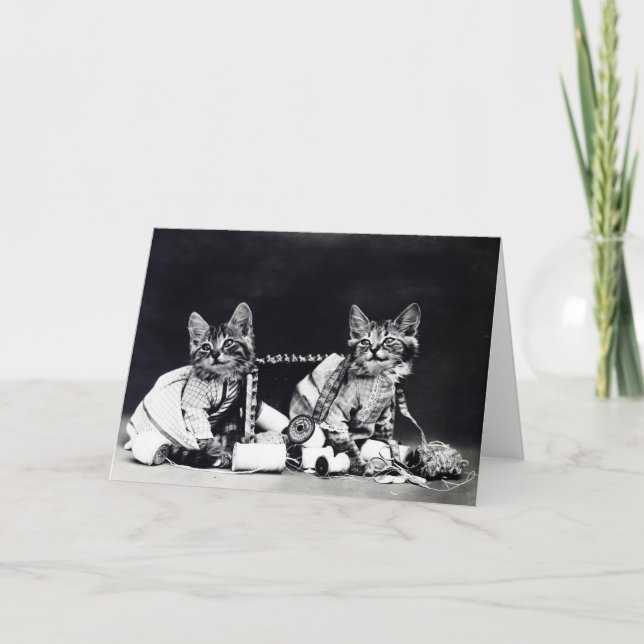 Cartão Naughty Kittens Note Card (Frente)