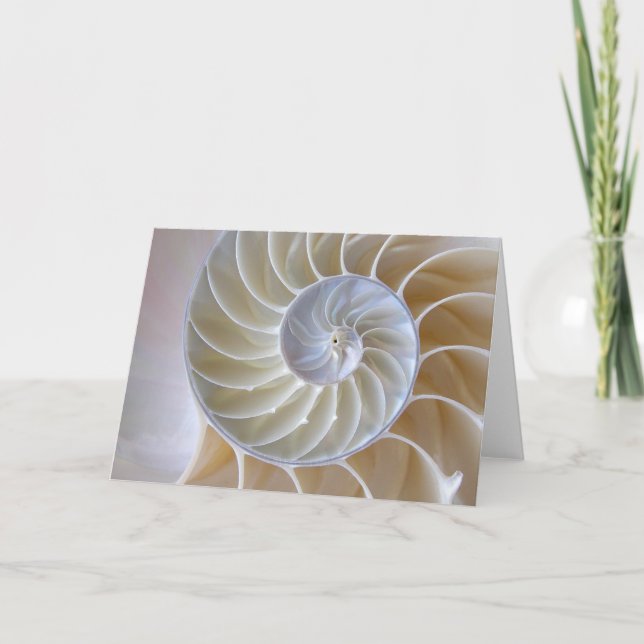 Cartão Nautilus Seashell | Golden Spiral (Frente)