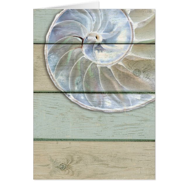 Cartão Nautilus Shell (Frente)