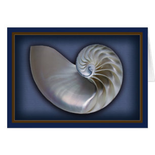 Cartão Nautilus Shell 2 horizontais