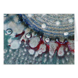 Cartão Navegador sereno