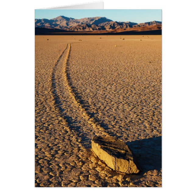 Cartão Navegando para Fora (Frente)