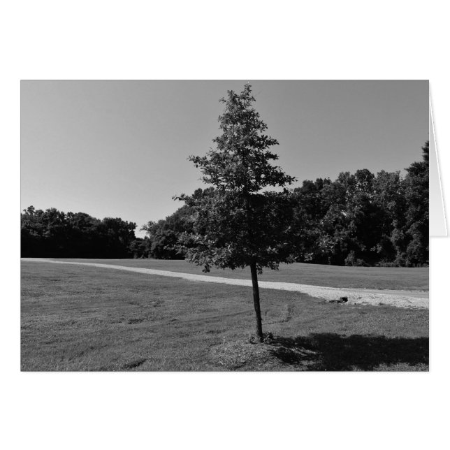 Cartão NC / Nó, placa (Frente Horizontal)