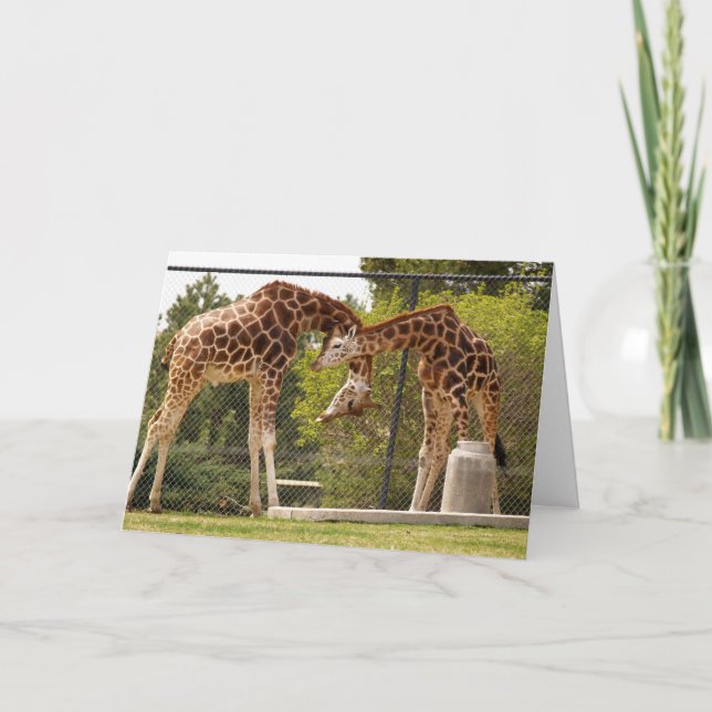 Cartão necking giraffe card (Frente)