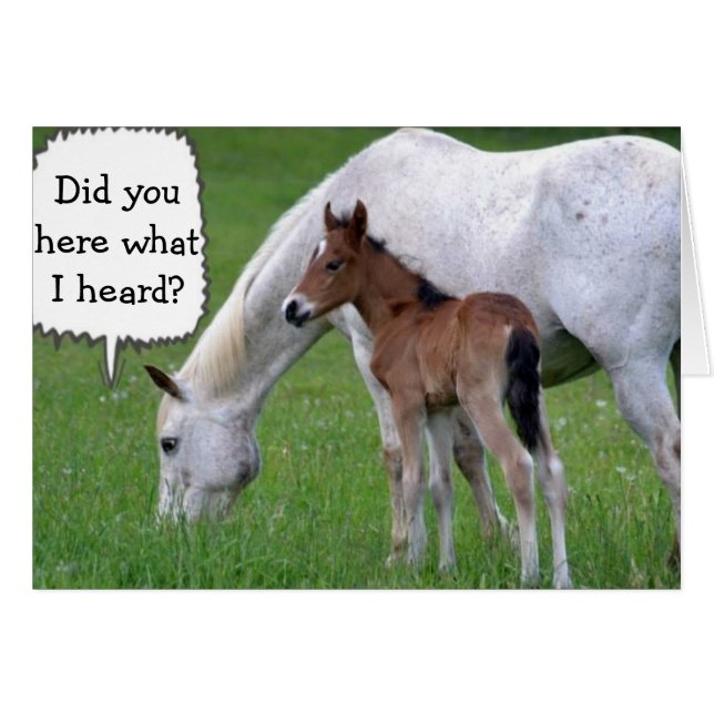 CARTÃO NEIGH VOCÊ NÃO PODE SER "30" DIZ PONY E HORSE (Frente Horizontal)