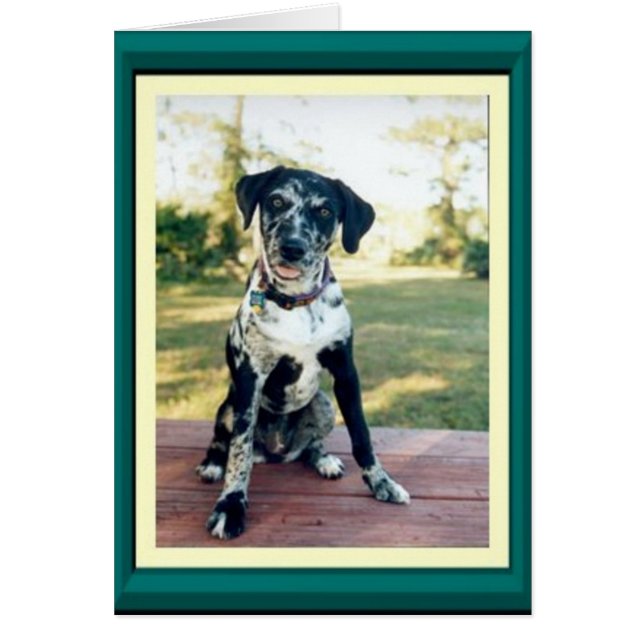 Cartão Nellie (Frente)