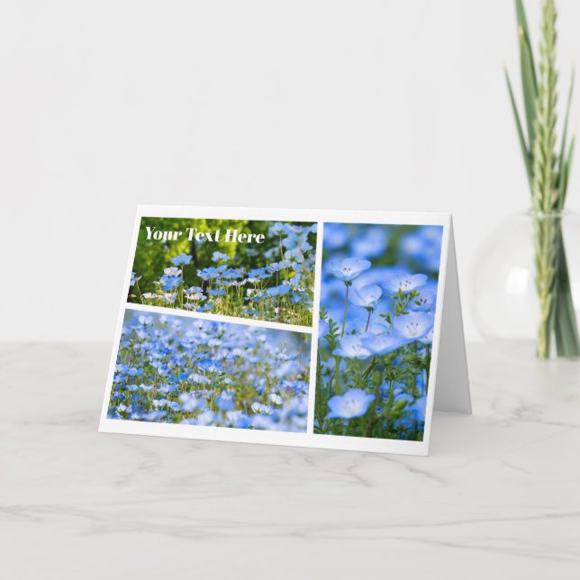 Cartão NEMOPHILA（Baby Blue Eyes） (Frente)