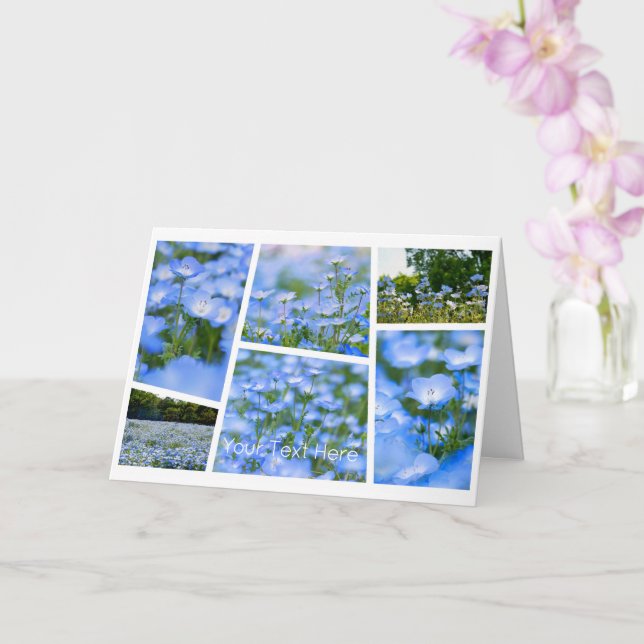 Cartão NEMOPHILA（Baby Blue Eyes） (Orquídea)