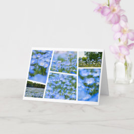 Cartão NEMOPHILA（Baby Blue Eyes）