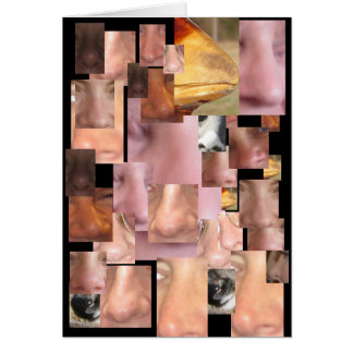 CARTÃO NENHUM NARIZ