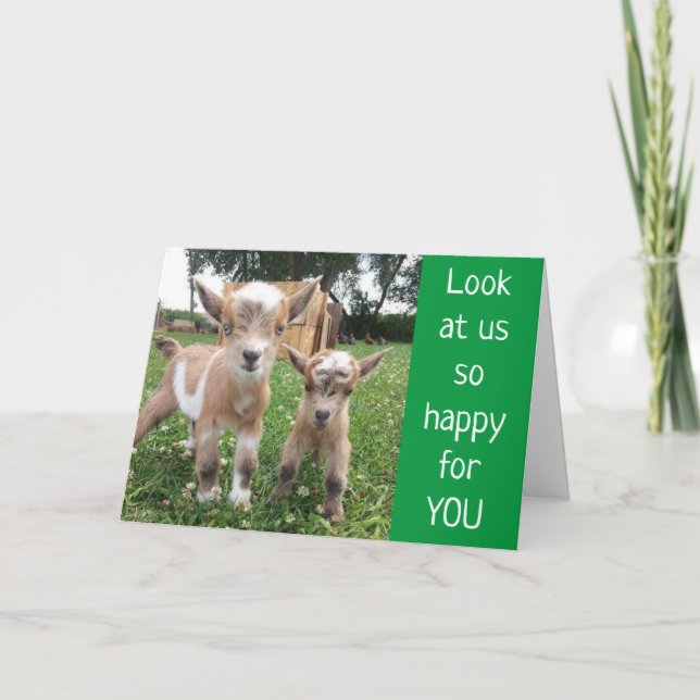 CARTÃO *NENHUMA CRIANÇA AO REDOR* DESEJE O MELHOR ANIVERS (Frente)