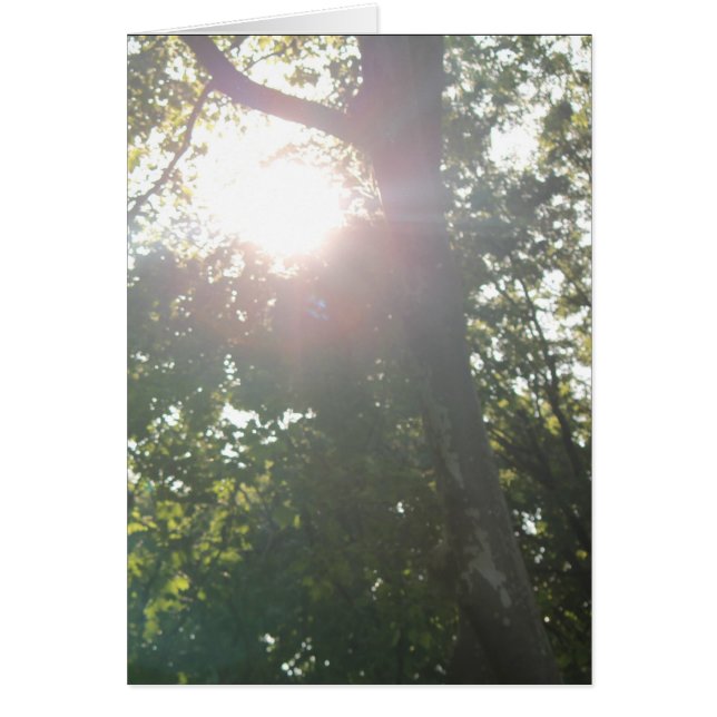 Cartão Nenhuma Razão Boa (Frente)