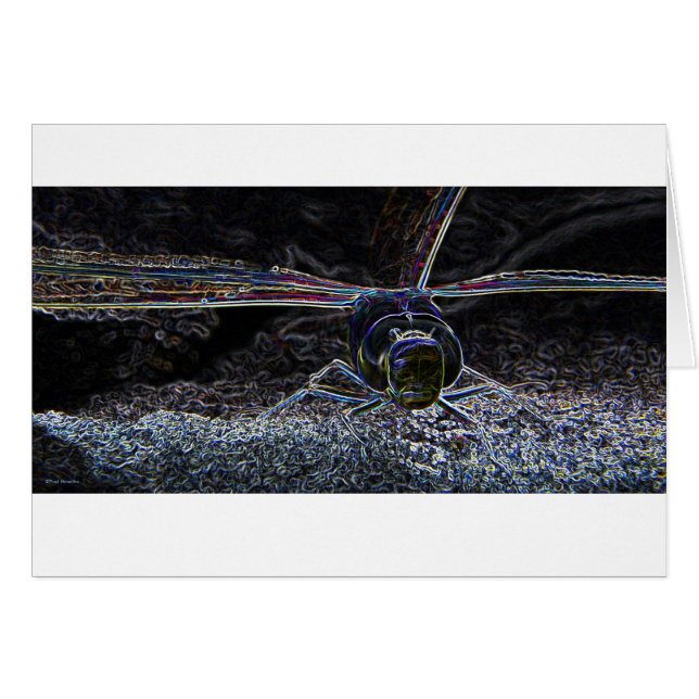 Cartão Néon 2 da libélula (Frente Horizontal)