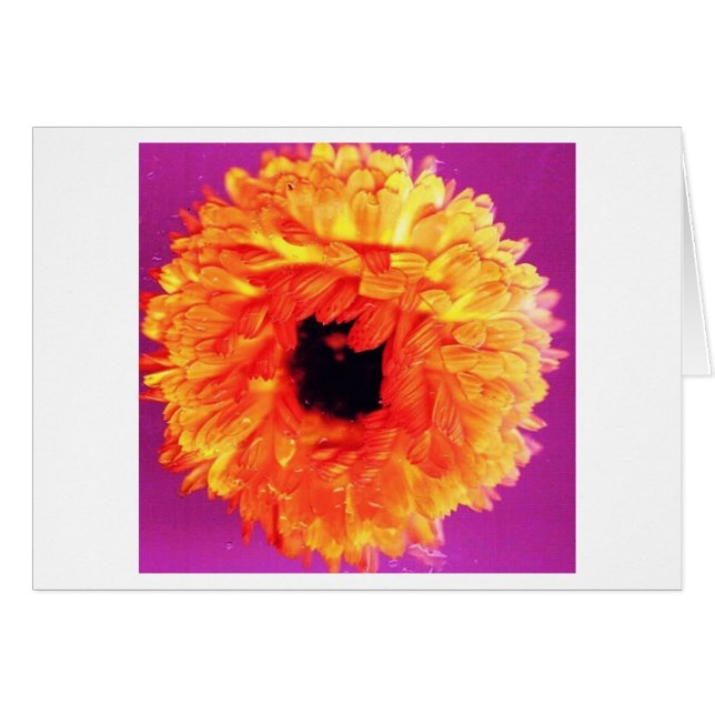 CARTÃO NÉON FIORI (Frente Horizontal)