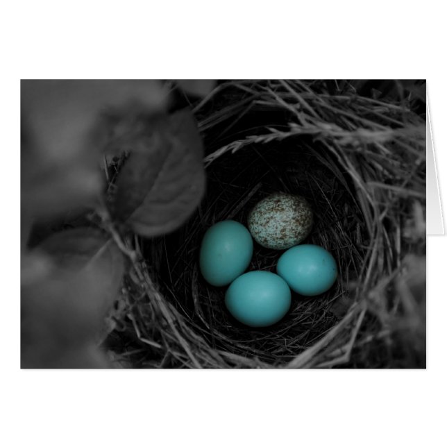 Cartão Nest parasitismo (Frente Horizontal)