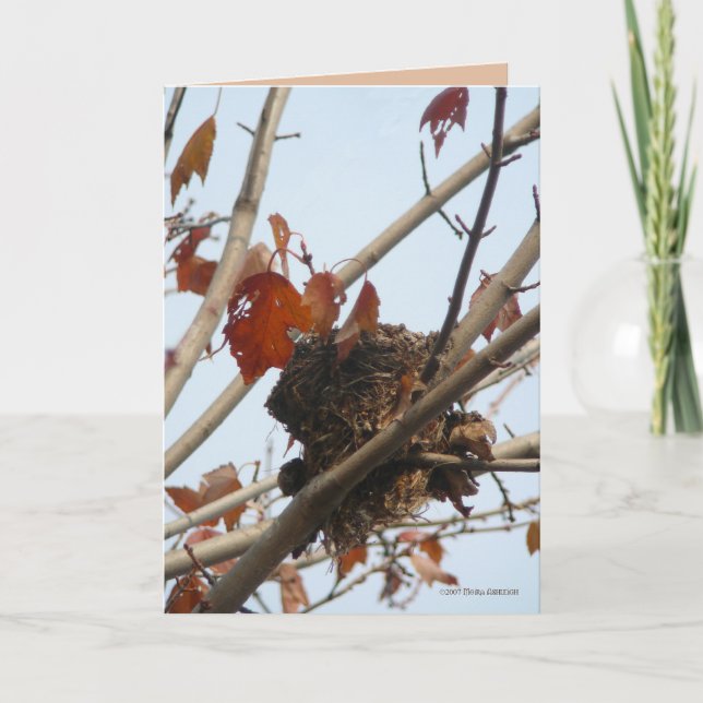 Cartão Nest Revealed (Frente)