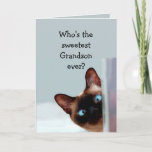 Cartão Neto Funny Birthday deseja gato siamês<br><div class="desc">Aniversário engraçado Deseja que Gato Siamês Humor de Animal te agrade.   Perfeito para aquele neto em sua vida com senso de humor,  amor por gatos e aniversário</div>