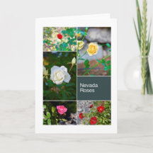 Nevada Roses in Reno Parks photo collage