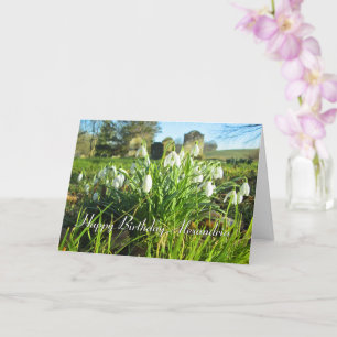 Cartão Neve ao Sol - Aniversário Personalizado