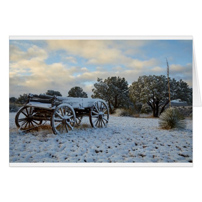 Cartão Neve da manhã na luz adiantada do alvorecer (Frente horizontal)