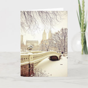 Cartão Neve do Central Park - inverno New York