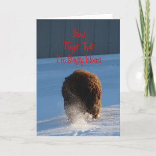 Cartão Neve! Esqueça Isso! Estou ficando em casa, ovelha