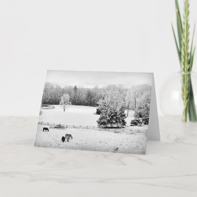 Cartão Neve fresca desbotada na Fazenda do Cavalo (Frente)