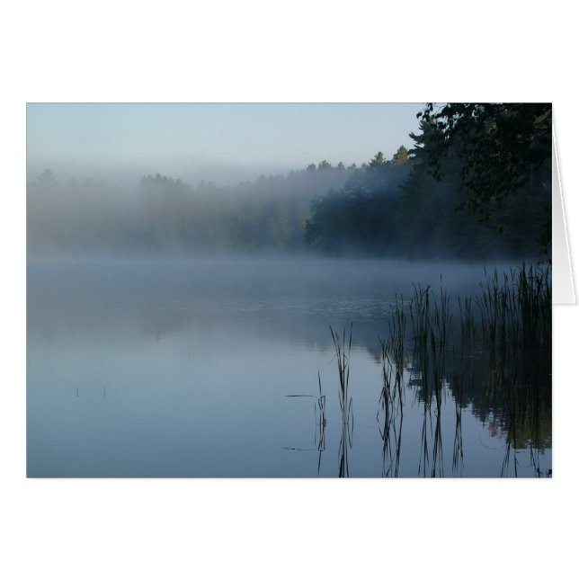 Cartão nevoeiro na pata do urso (Frente Horizontal)