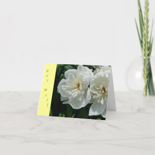 Cartão New Day Gardens Get Well Card- White Peony Y