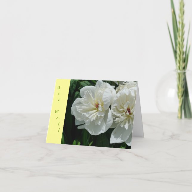 Cartão New Day Gardens Get Well Card- White Peony Y (Frente)