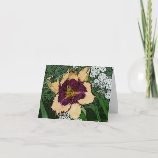 Cartão New Day Gardens Notecard Daylily 'Sabine Baur' W