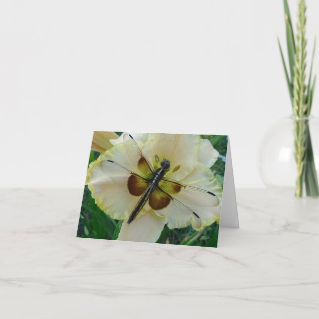 Cartão New Day Gardens Notecard-Dragonfly & Daylily (Frente)