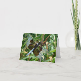 Cartão New Day Gardens Notecard- Male Dragonfly