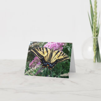 Cartão New Day Gardens Notecard-Western Swallowtail