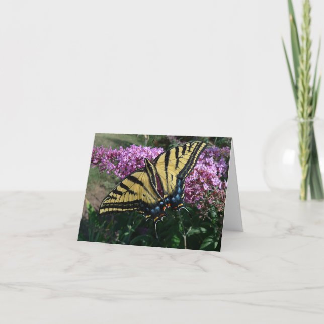 Cartão New Day Gardens Notecard- Western Swallowtail (Frente)