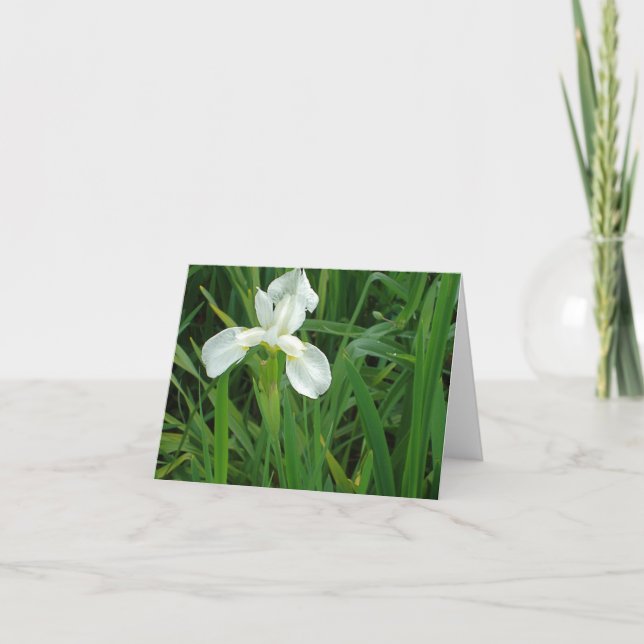 Cartão New England White Iris floral notecard collection (Frente)